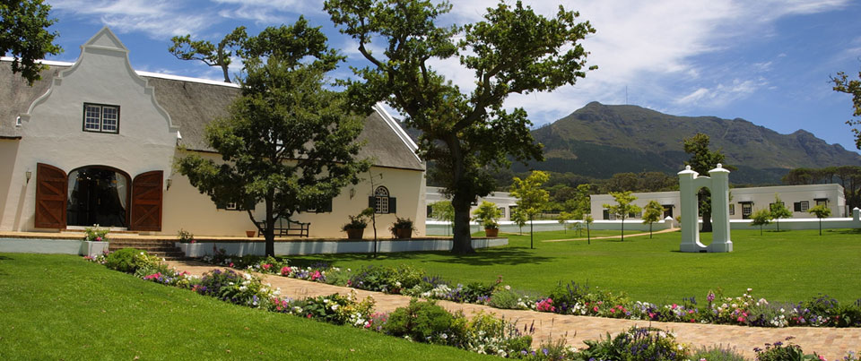 Steenberg Farm And Vineyards Winelands South Africa 4