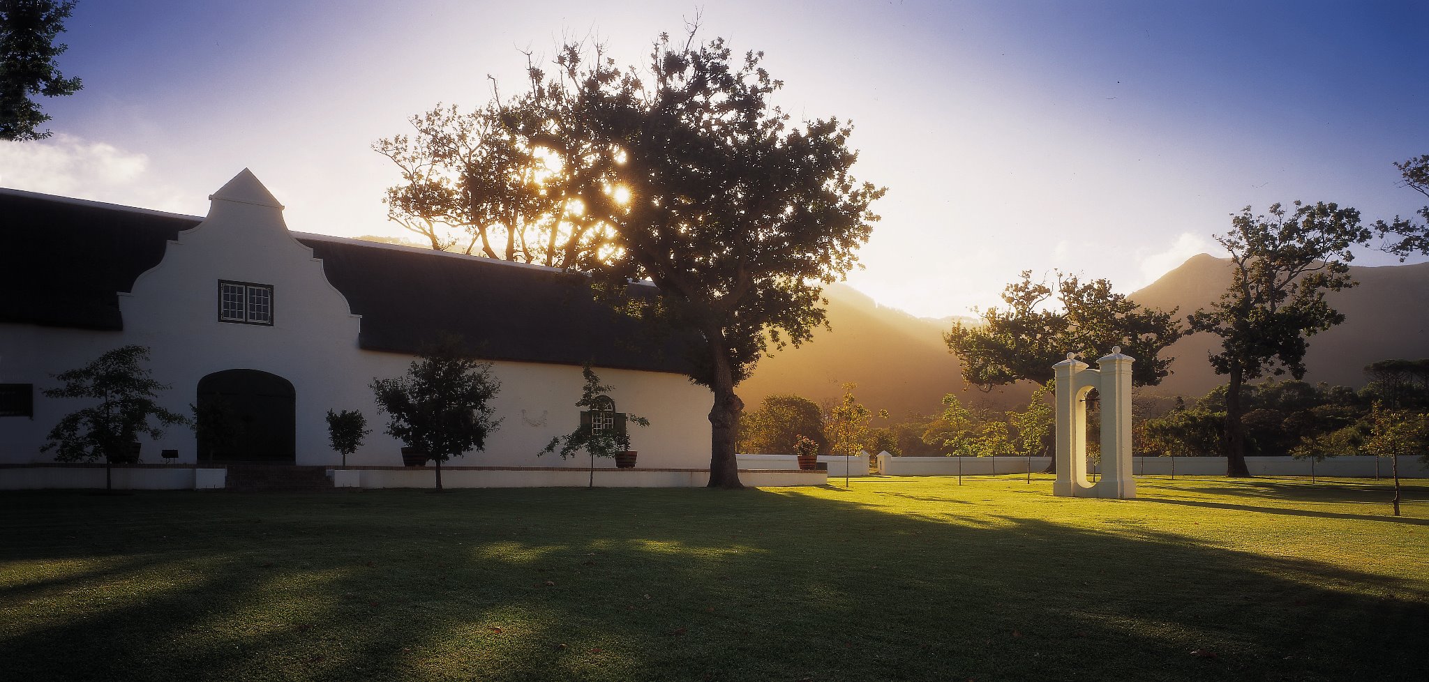 Steenberg Farm And Vineyards Winelands South Africa 6