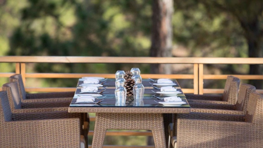 Dhensa Punakha Bhutan 20