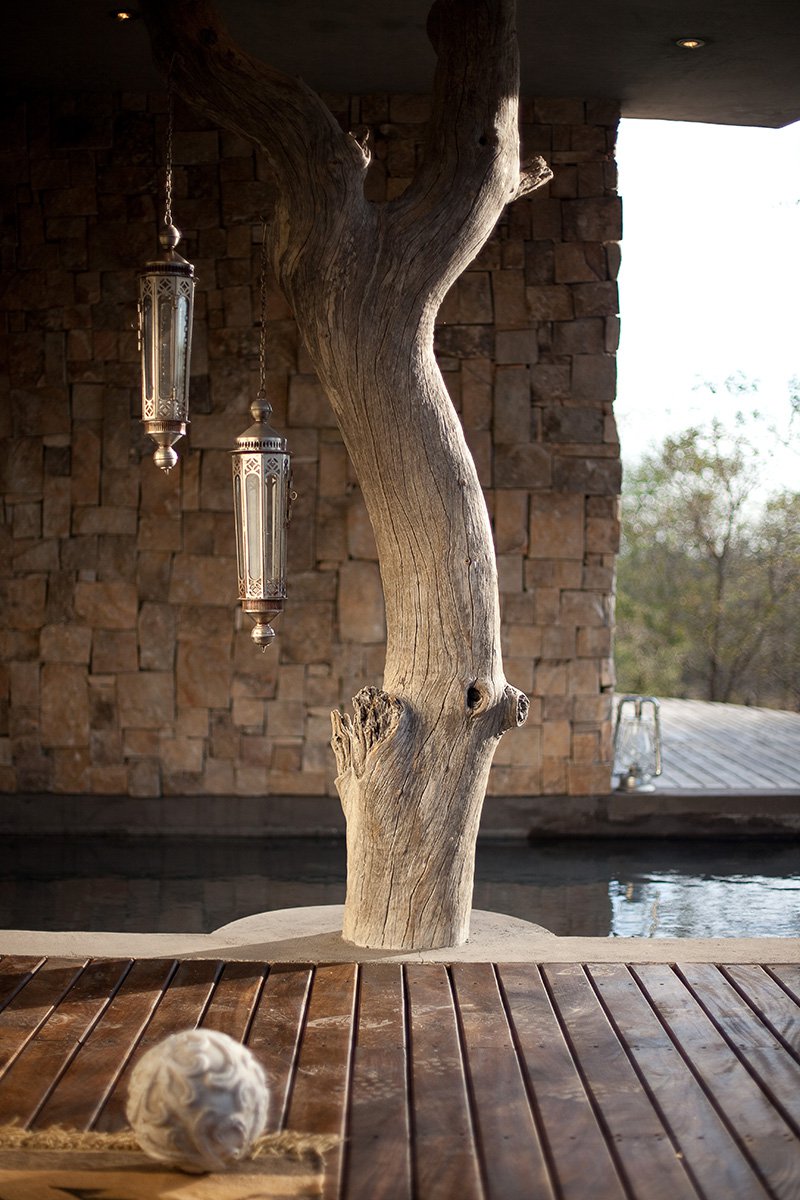 Chitwa Chitwa Sabi Sands Kruger South Africa 7