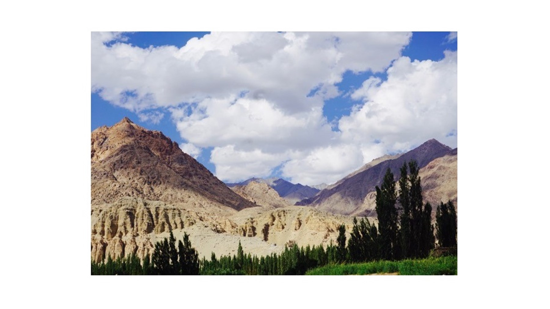 Diana Sieff Ladakh August 16 1