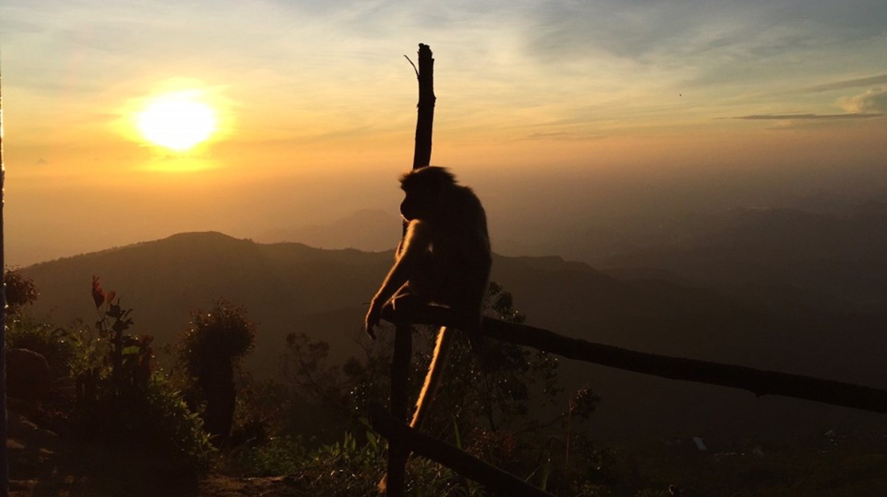 Erin Browne Sri Lanka Jan17 2