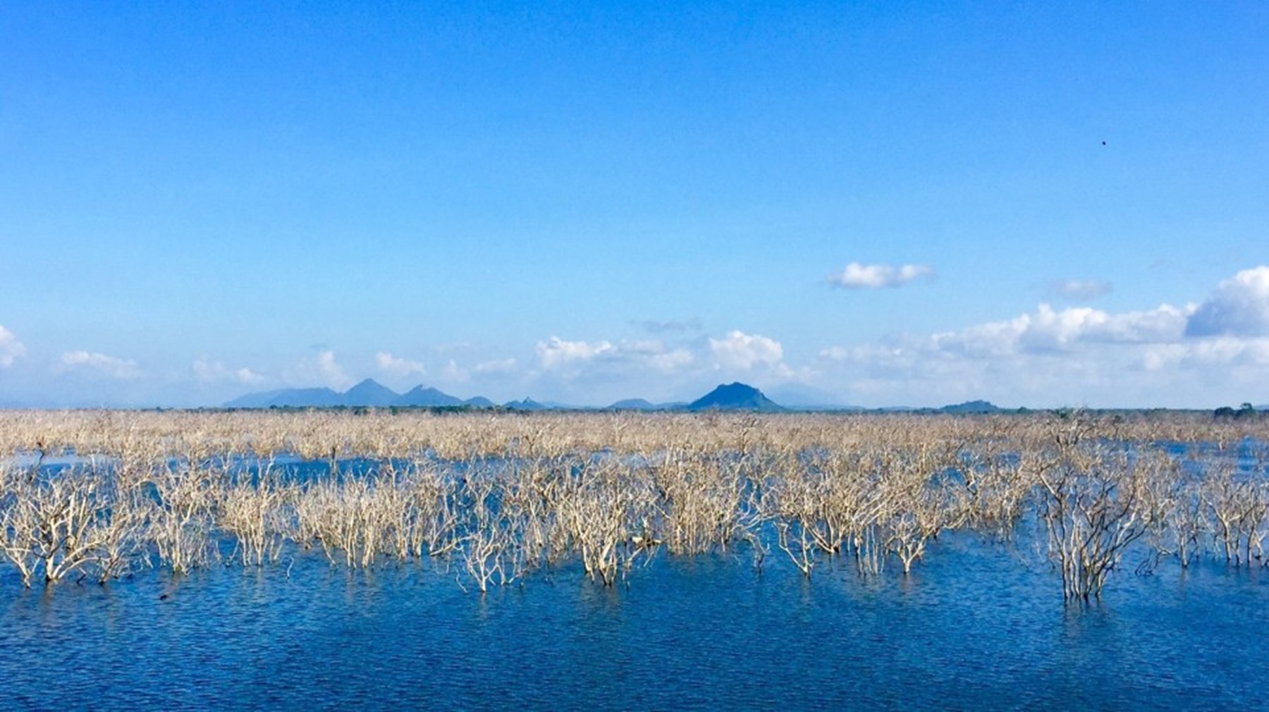 Erin Browne Sri Lanka Jan17 3