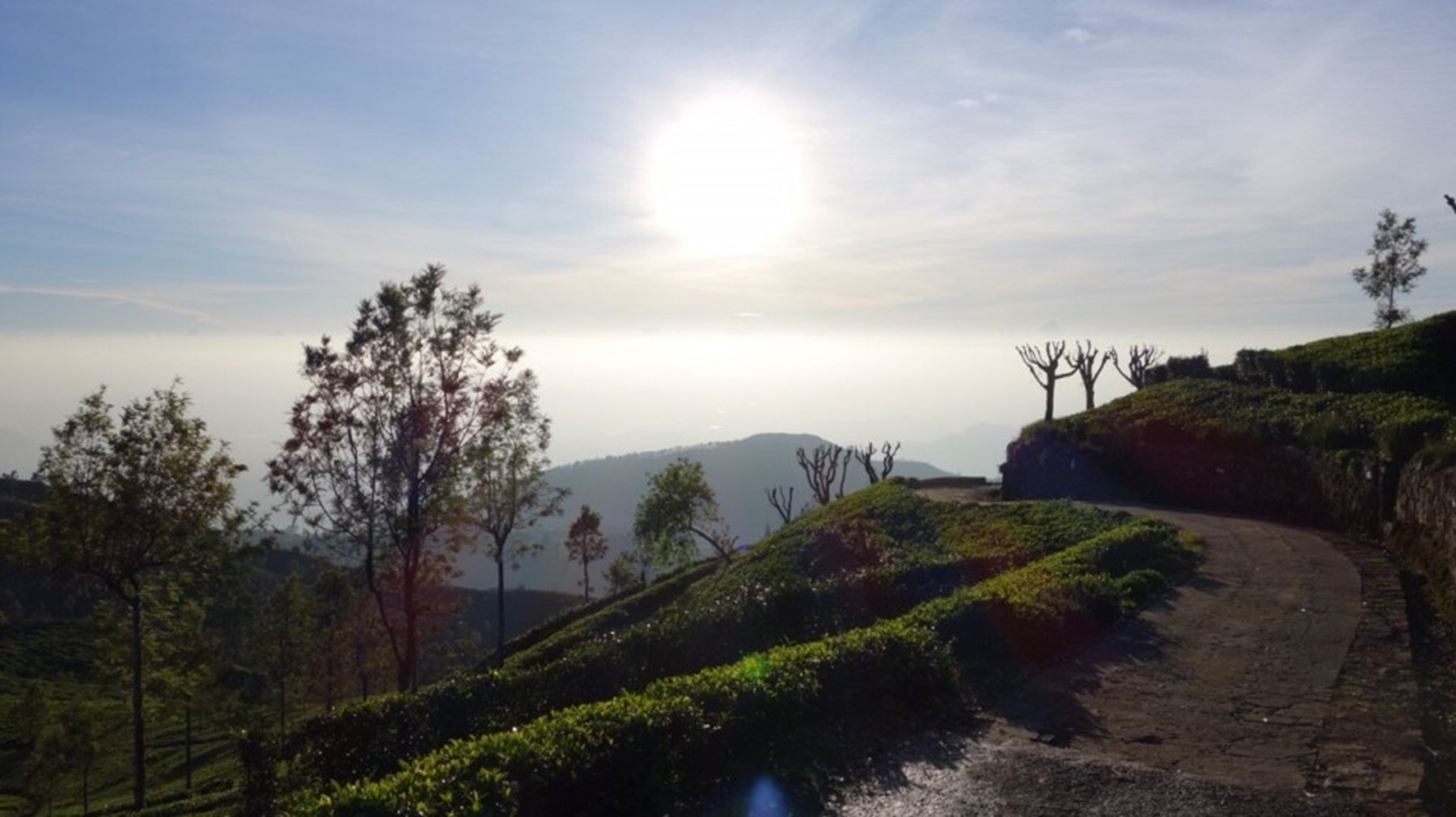 Erin Browne Sri Lanka Jan17 5