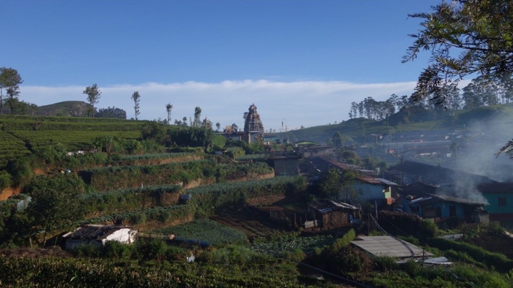 Erin Browne Sri Lanka Jan17 7