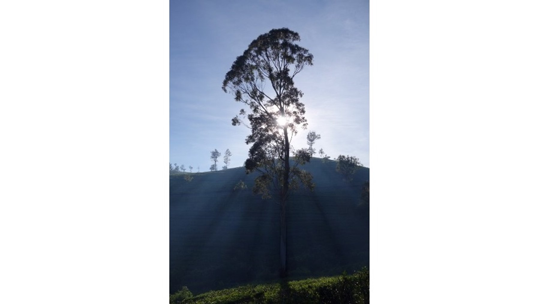 Erin Browne Sri Lanka Jan17 8