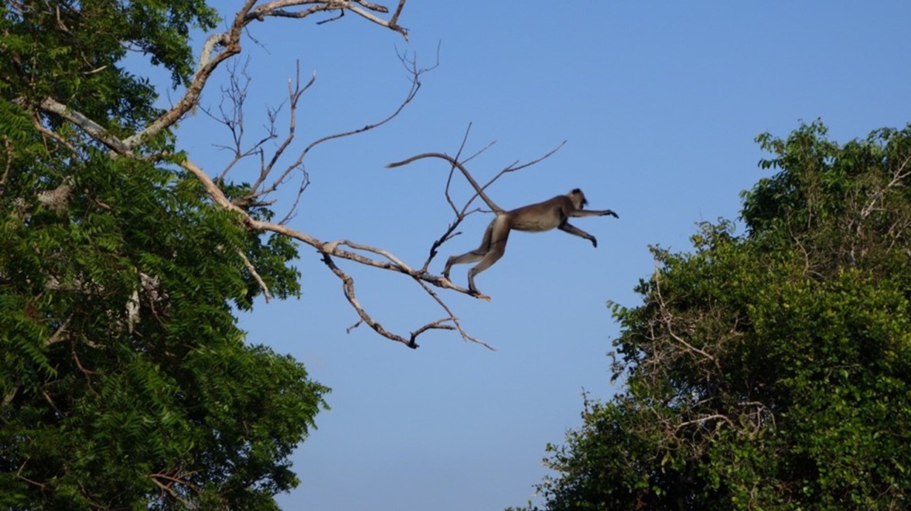 Erin Browne Sri Lanka Jan17 9