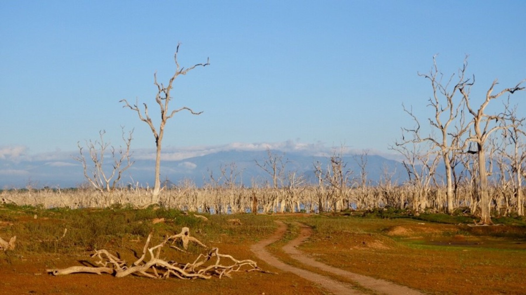 Erin Browne Sri Lanka Jan17 11