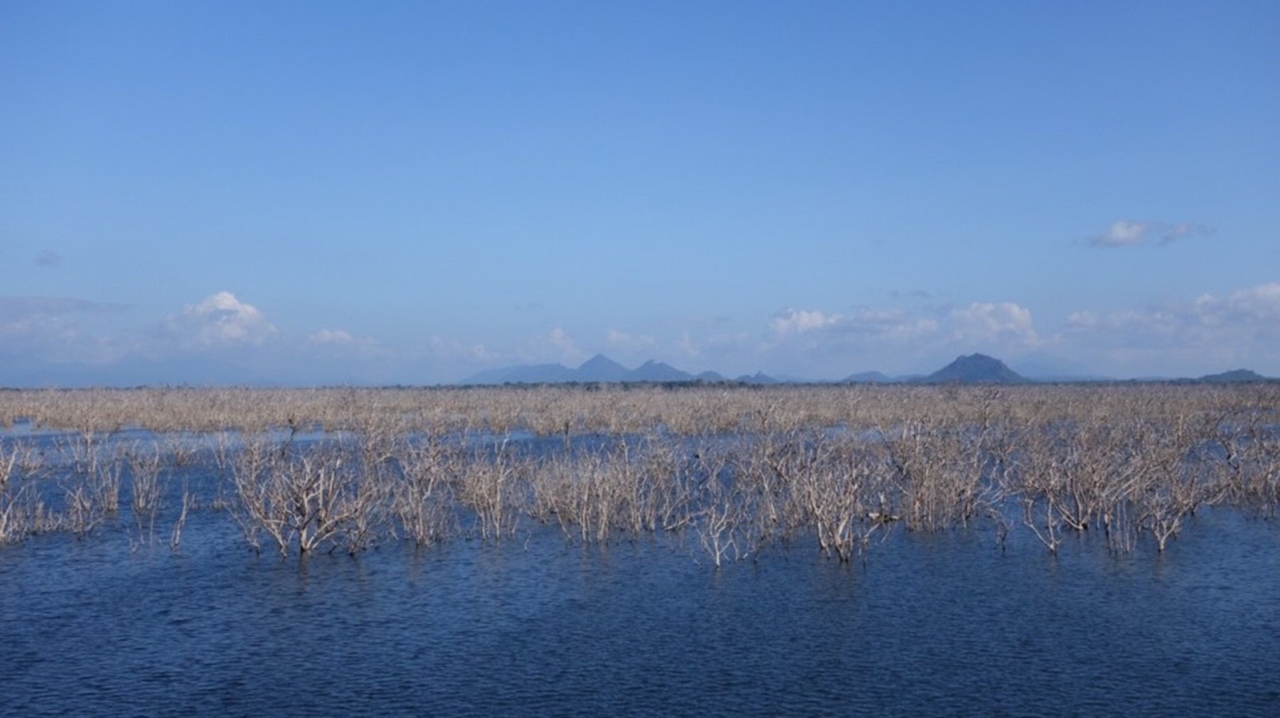 Erin Browne Sri Lanka Jan17 12