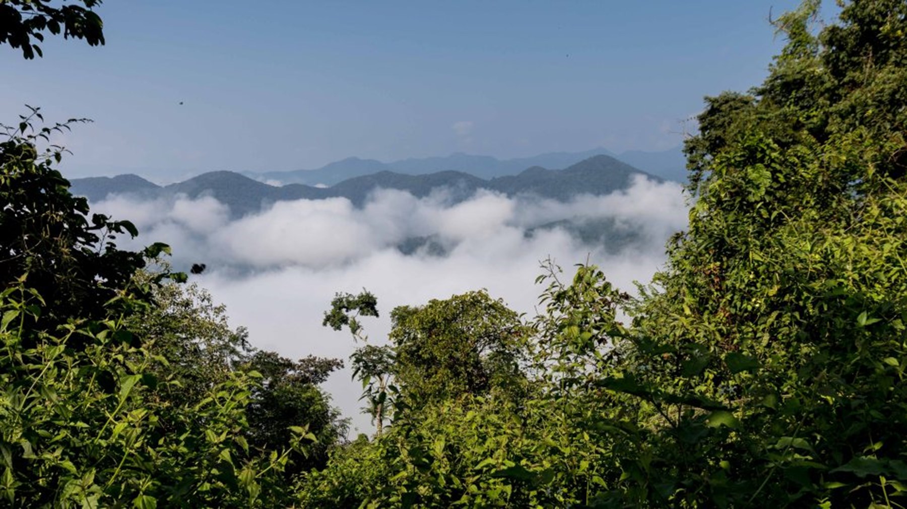 Road To Akha Village 1 Of 1
