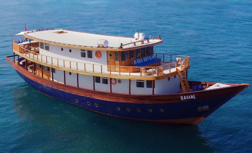 Rascal Komodo Islands Indonesia 1