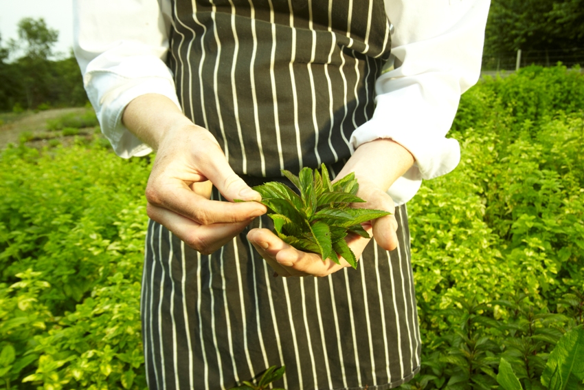 Chewton Glen Hampshire Uk 9