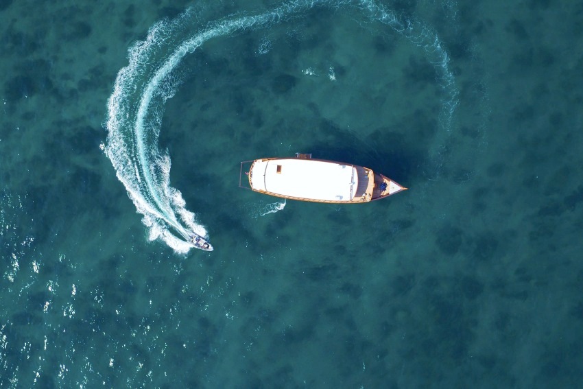 Rascal Komodo Islands Indonesia 22