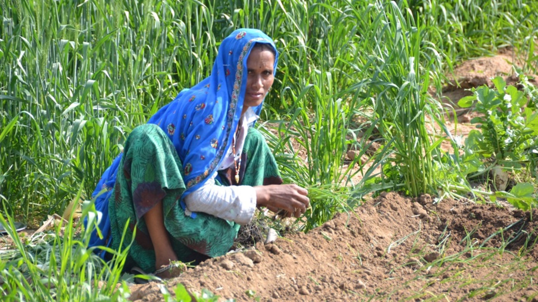Christian Smith Rajasthan North India 14