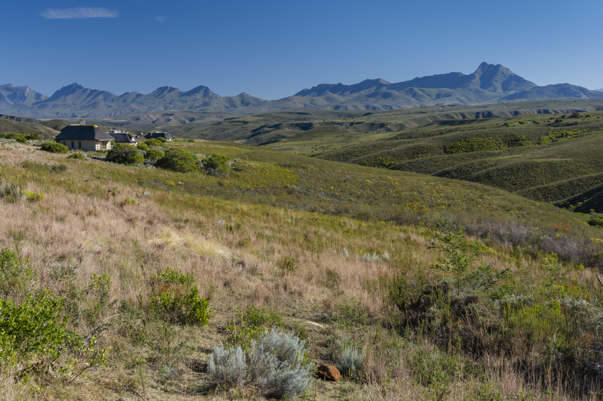 Gondwana Reserve The Garden Route South Africa2