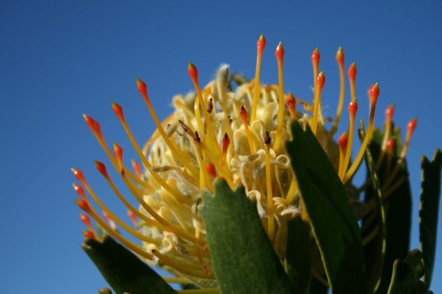 Gondwana Reserve The Garden Route South Africa5