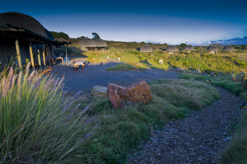 Gondwana Reserve The Garden Route South Africa24