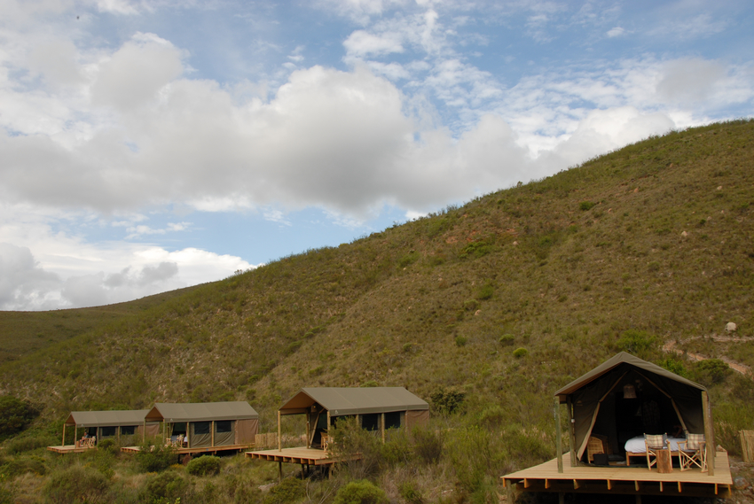 Gondwana Reserve The Garden Route South Africa28