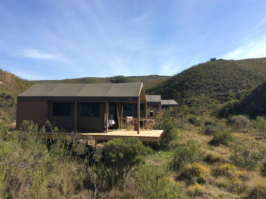 Gondwana Reserve The Garden Route South Africa30