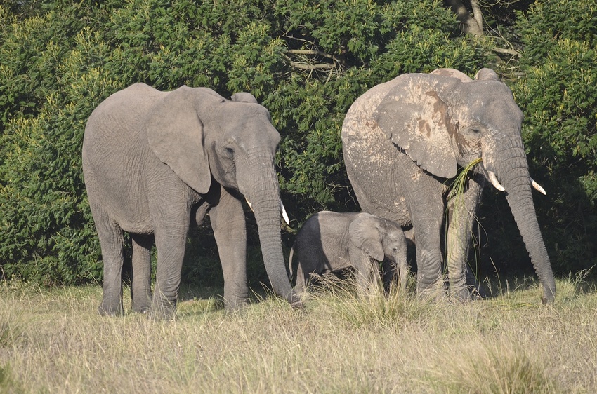 Gondwana Reserve The Garden Route South Africa60jpg