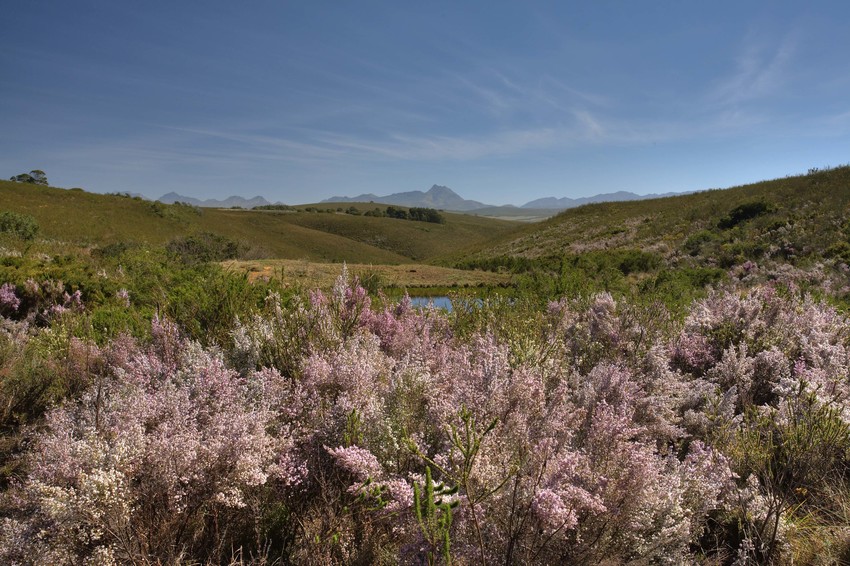 Gondwana Reserve The Garden Route South Africa61