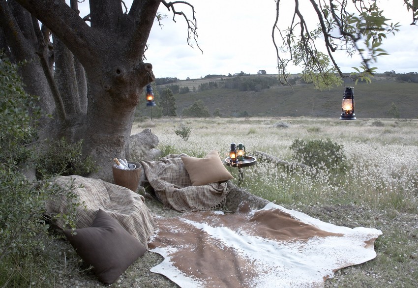 Gondwana Reserve The Garden Route South Africa65