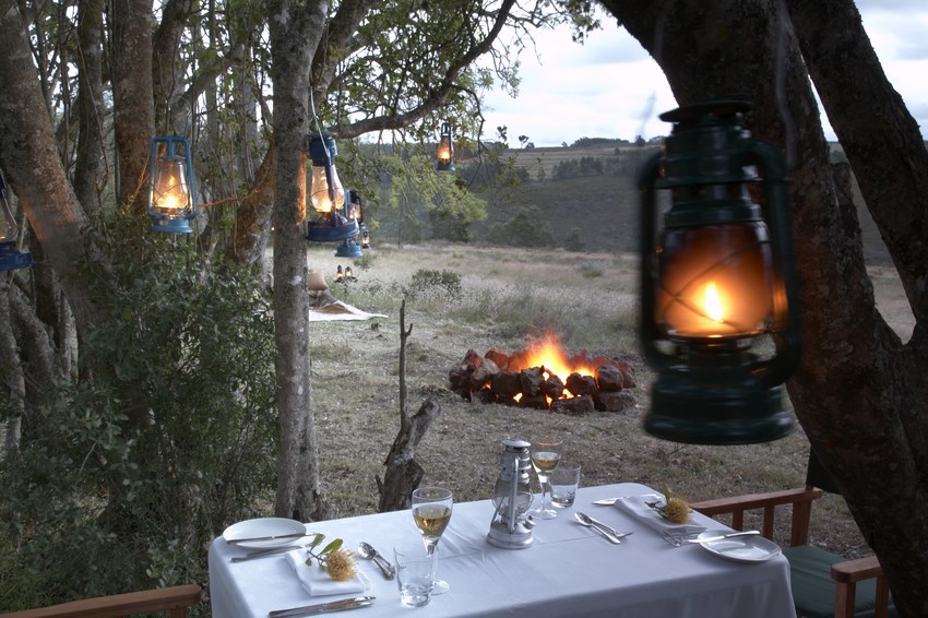 Gondwana Reserve The Garden Route South Africa72