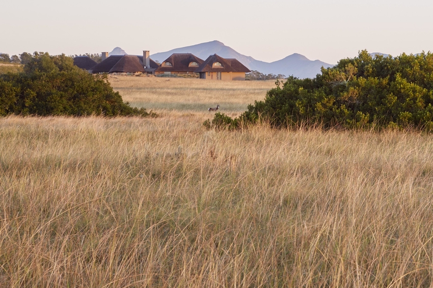 Gondwana Reserve The Garden Route South Africa95