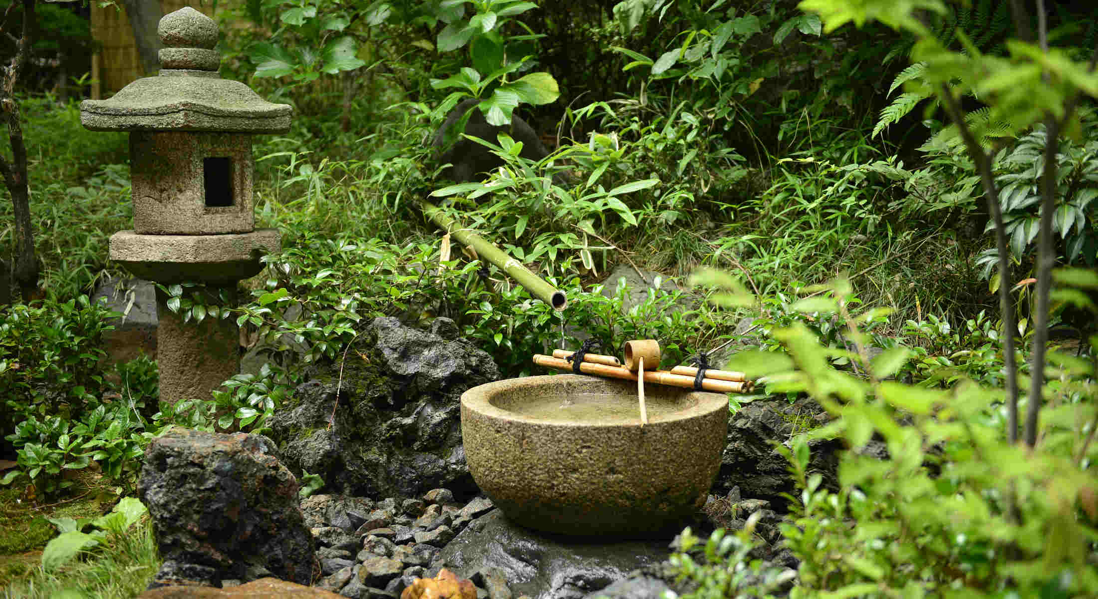 Chinzanso Tokyo Japan 3