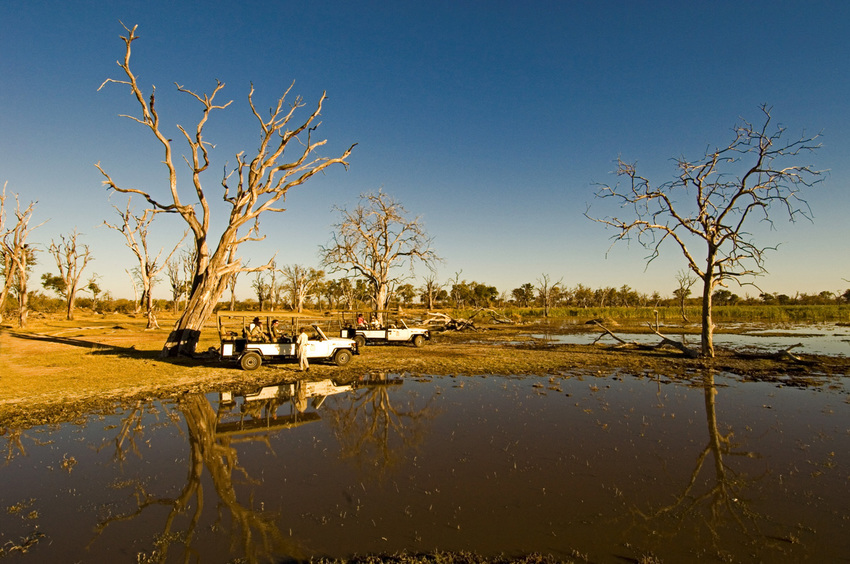 Camp Moremi Moremi Game Reserve Botswana 1 1