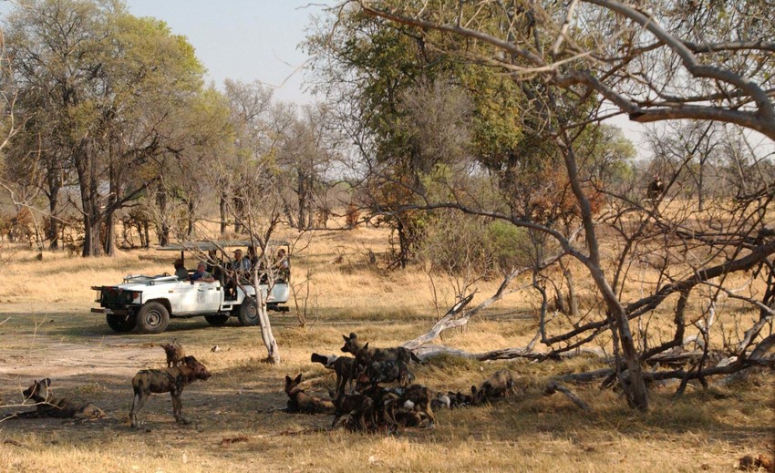 Camp Moremi Moremi Game Reserve Botswana 1 2