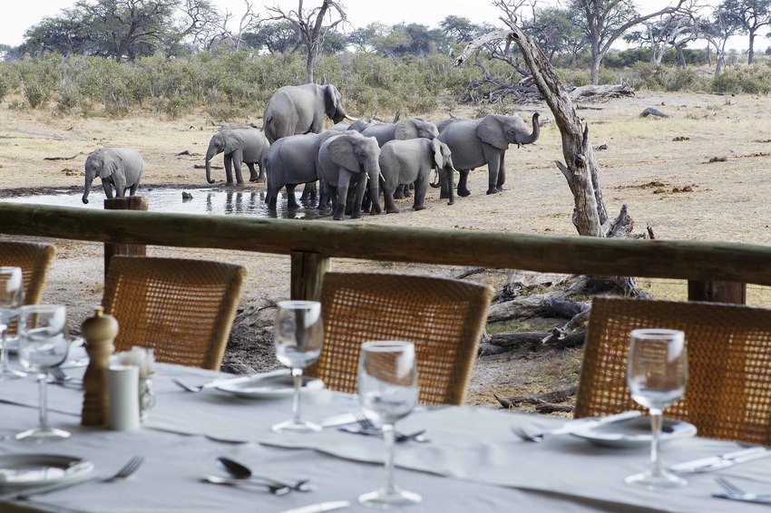 Savute Safari Lodge Chobe National Park Botswana 42