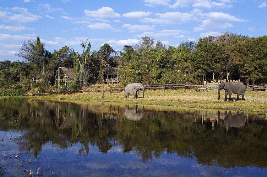 Savute Safari Lodge Chobe National Park Botswana 59