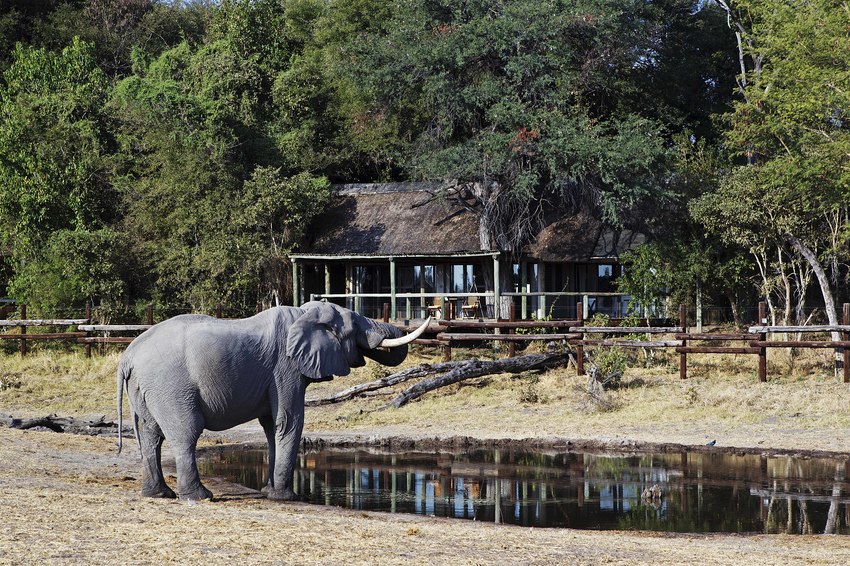 Savute Safari Lodge Chobe National Park Botswana 61