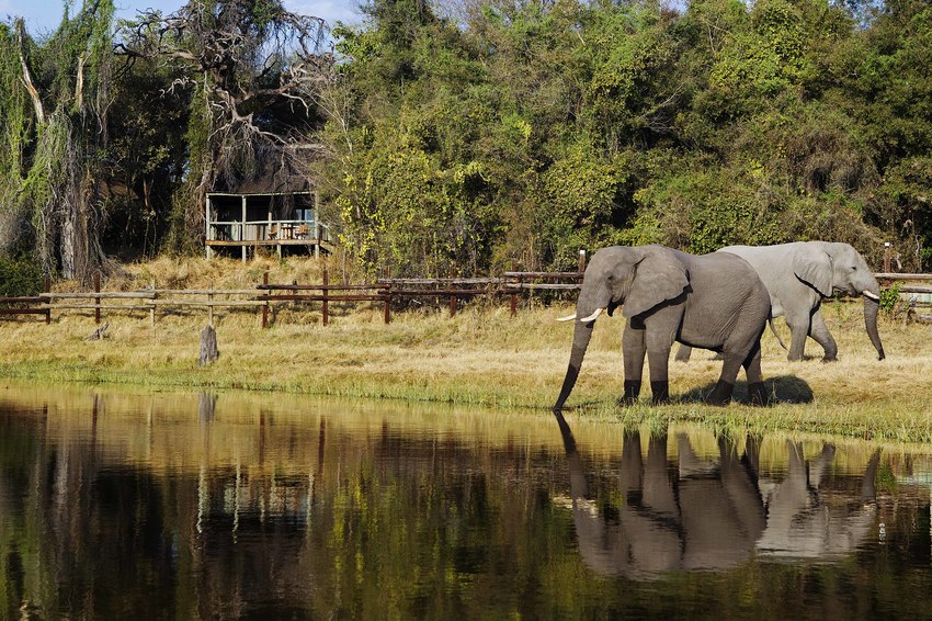 Savute Safari Lodge Chobe National Park Botswana 62