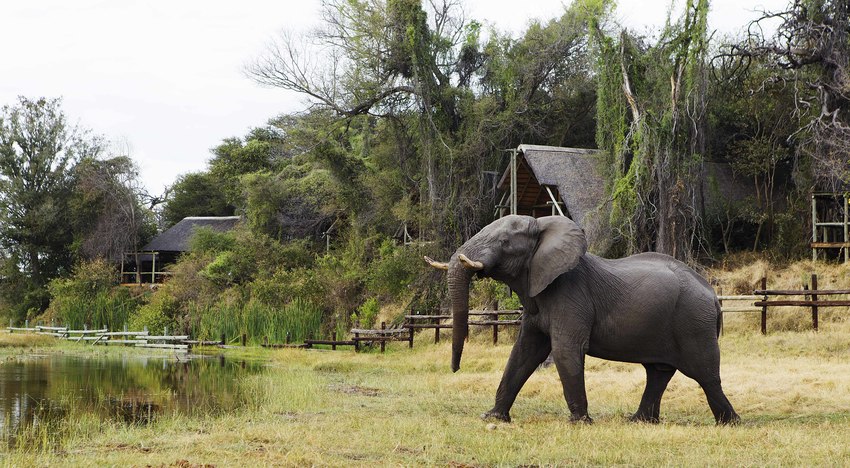Savute Safari Lodge Chobe National Park Botswana 64