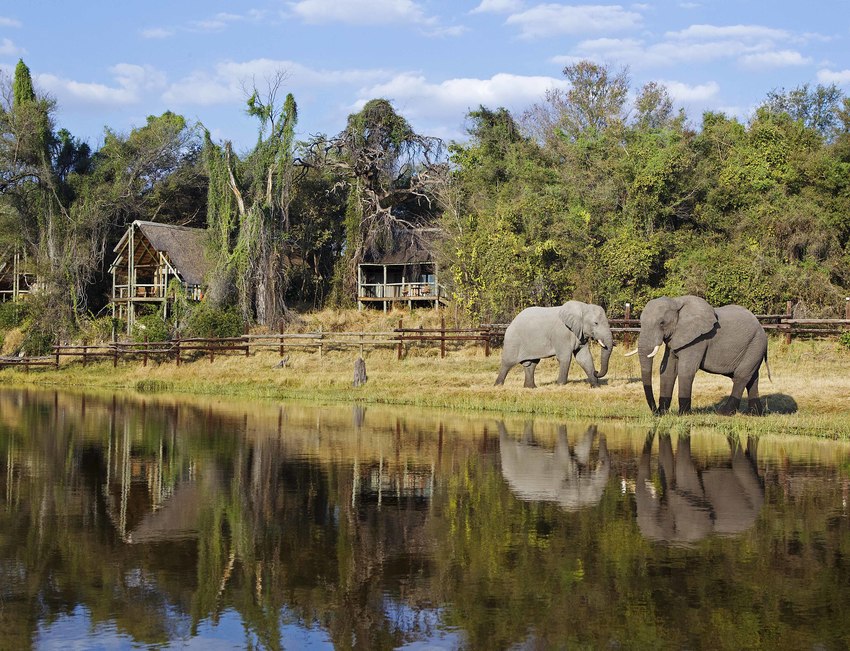Savute Safari Lodge Chobe National Park Botswana 67