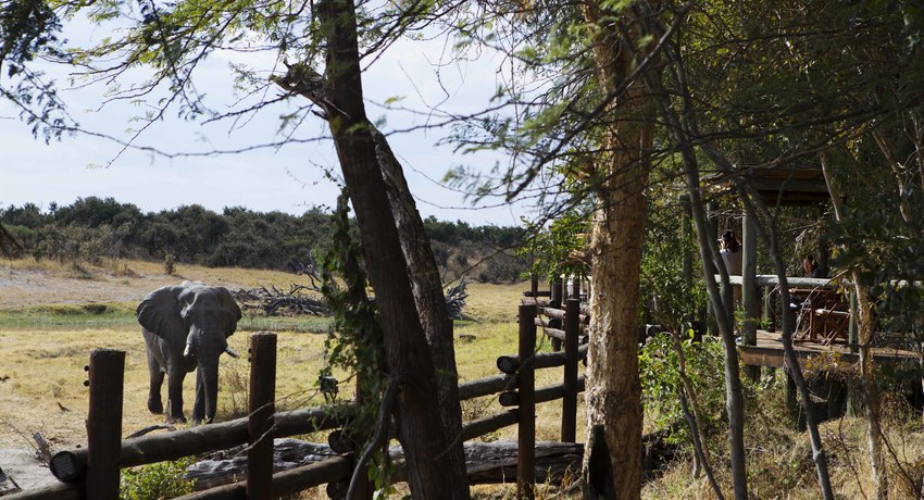 Savute Safari Lodge Chobe National Park Botswana 69