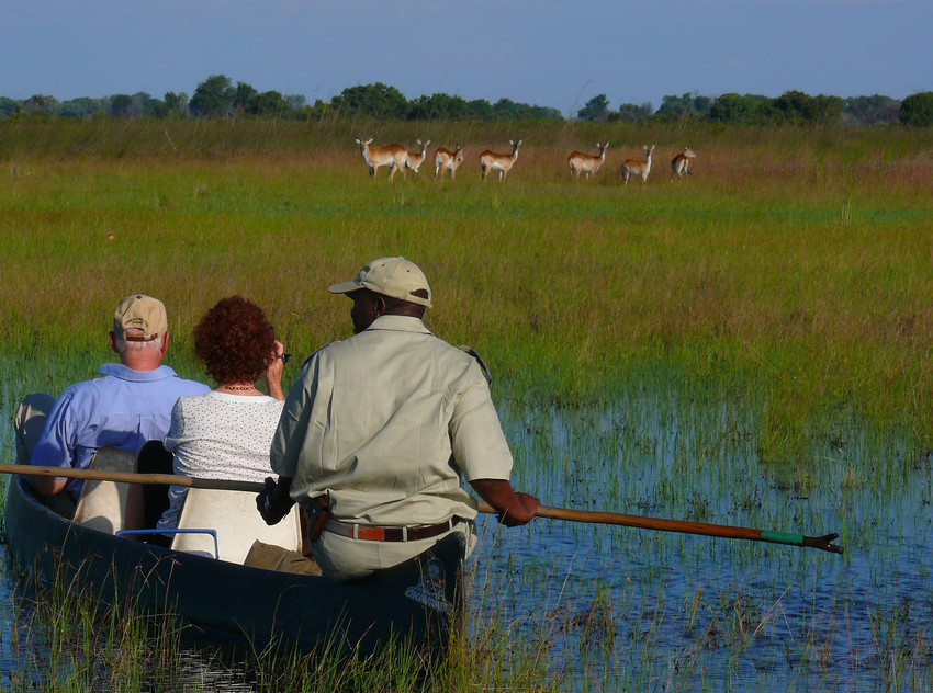 Camp Okavango Moremi Game Reserve 42