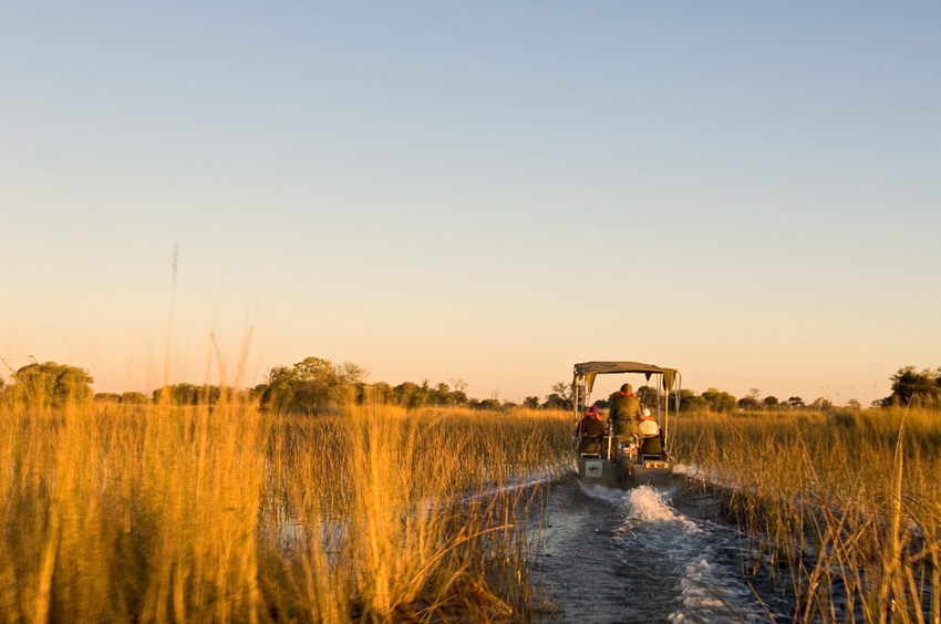 Camp Okavango Moremi Game Reserve 65