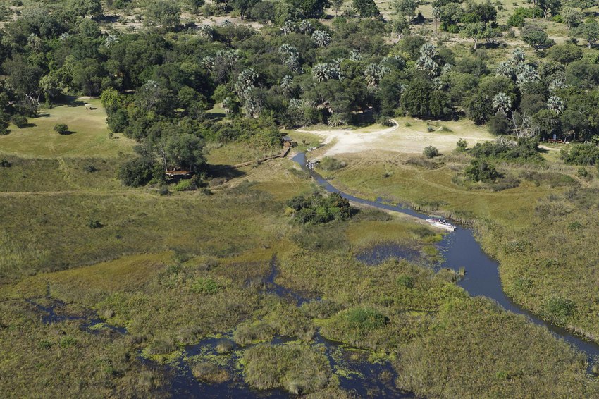 Camp Okavango Moremi Game Reserve 1