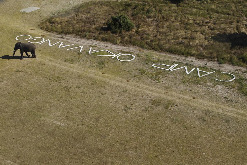 Camp Okavango Moremi Game Reserve 3