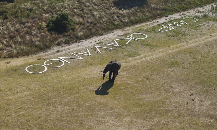 Camp Okavango Moremi Game Reserve 5