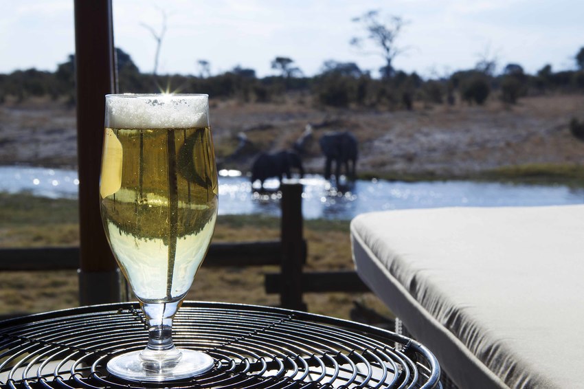 Savute Safari Lodge Chobe National Park Botswana 90