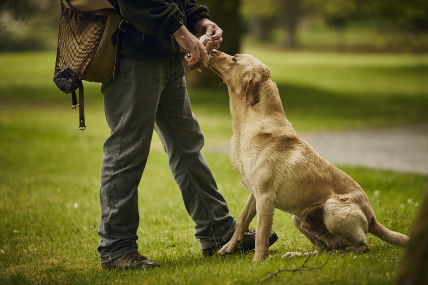 Gleneagles Perthshire Scotland 9