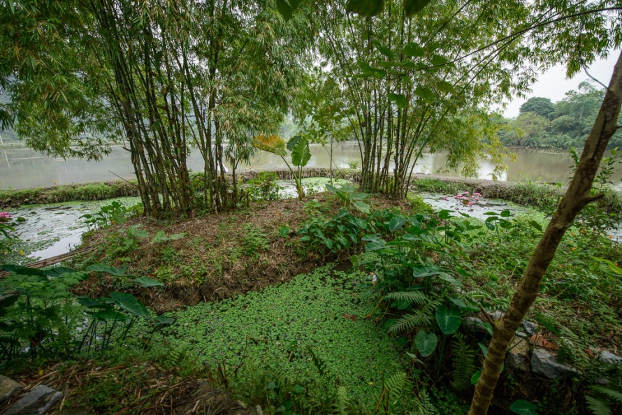 Tam Coc Garden Ninh Binh Vietnam 14