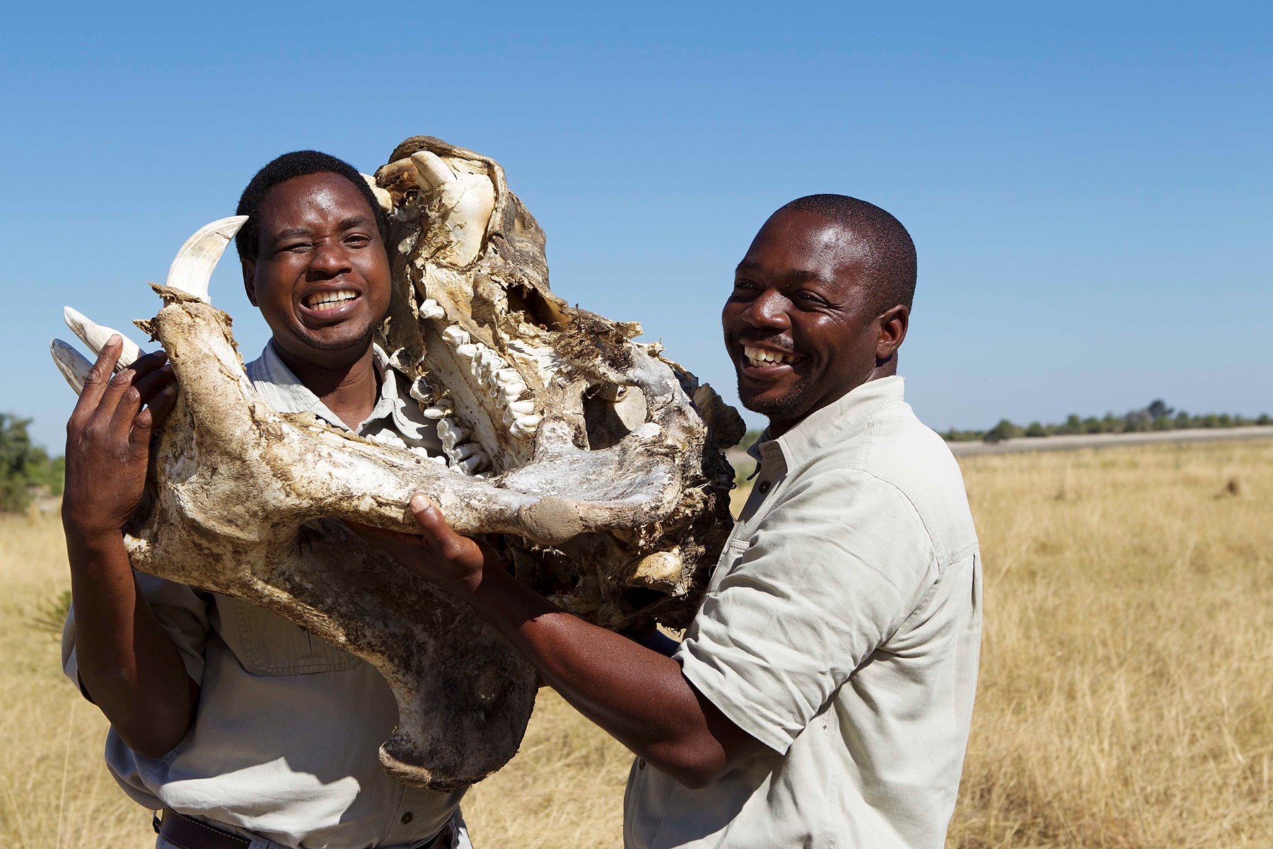 Botswana Chobe Game Lodge Chobe National Park Botswana 195