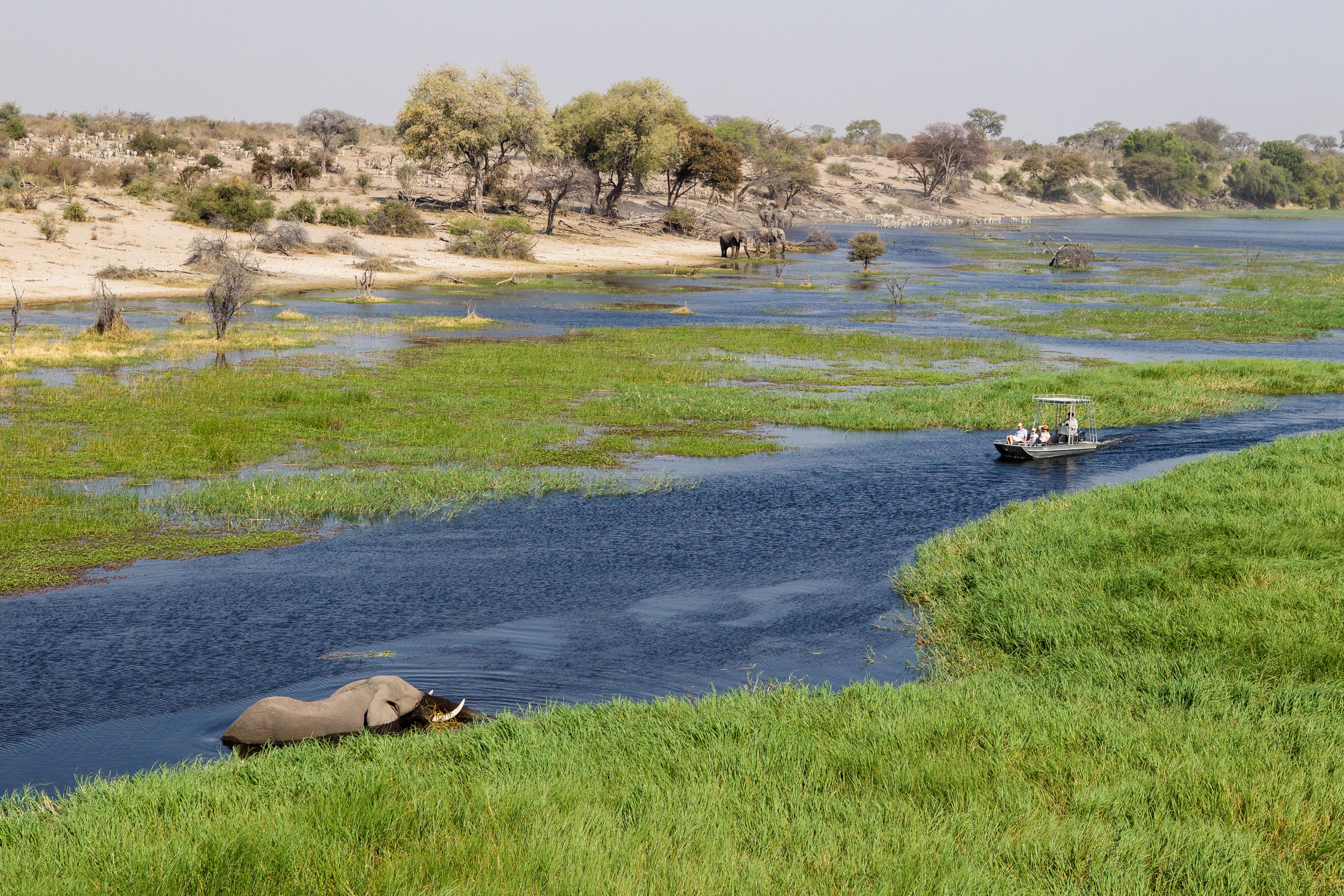 Botswana Leroo La Tau Makgadikgadi Pans National Park Botswana 5