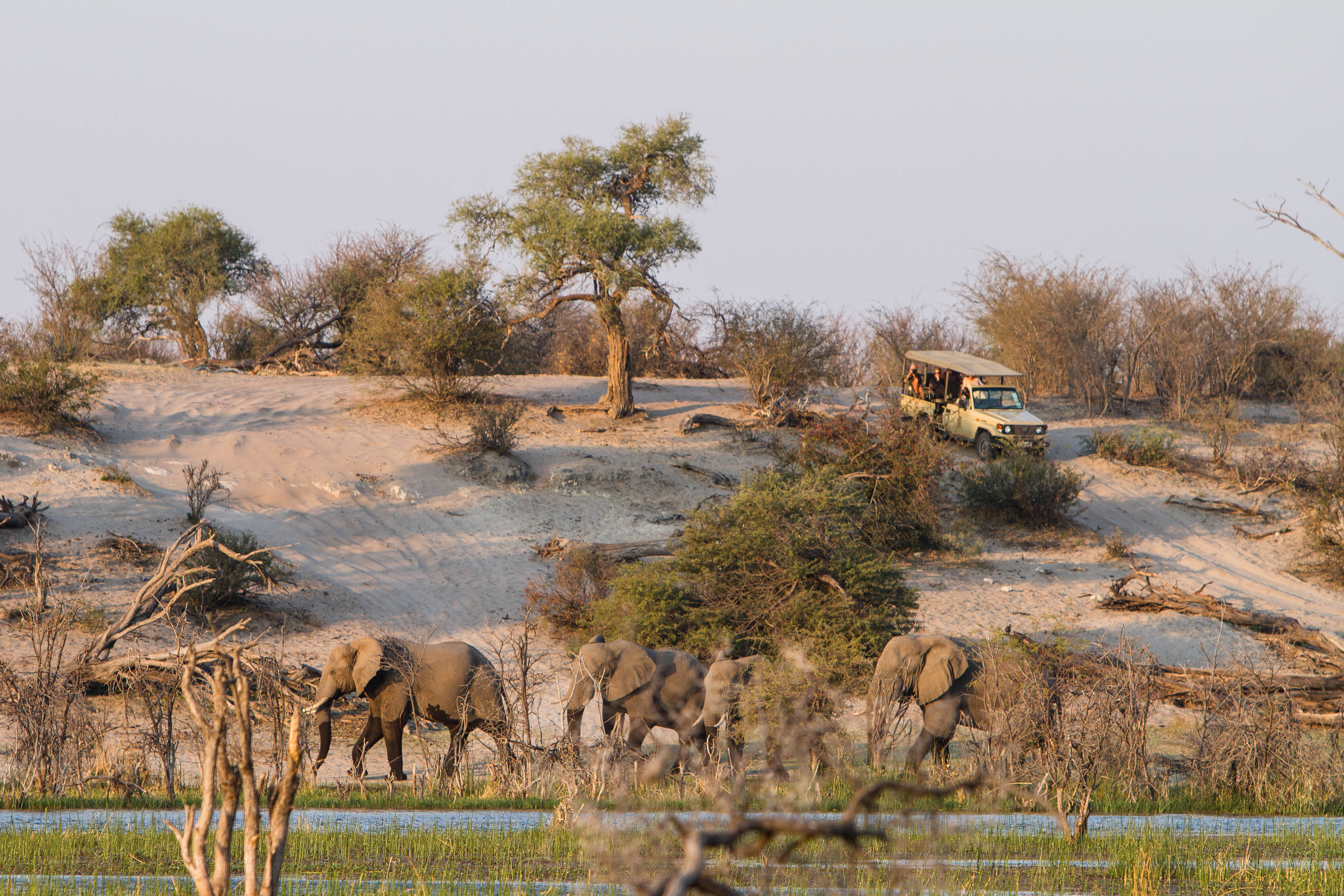 Botswana Leroo La Tau Makgadikgadi Pans National Park Botswana 55