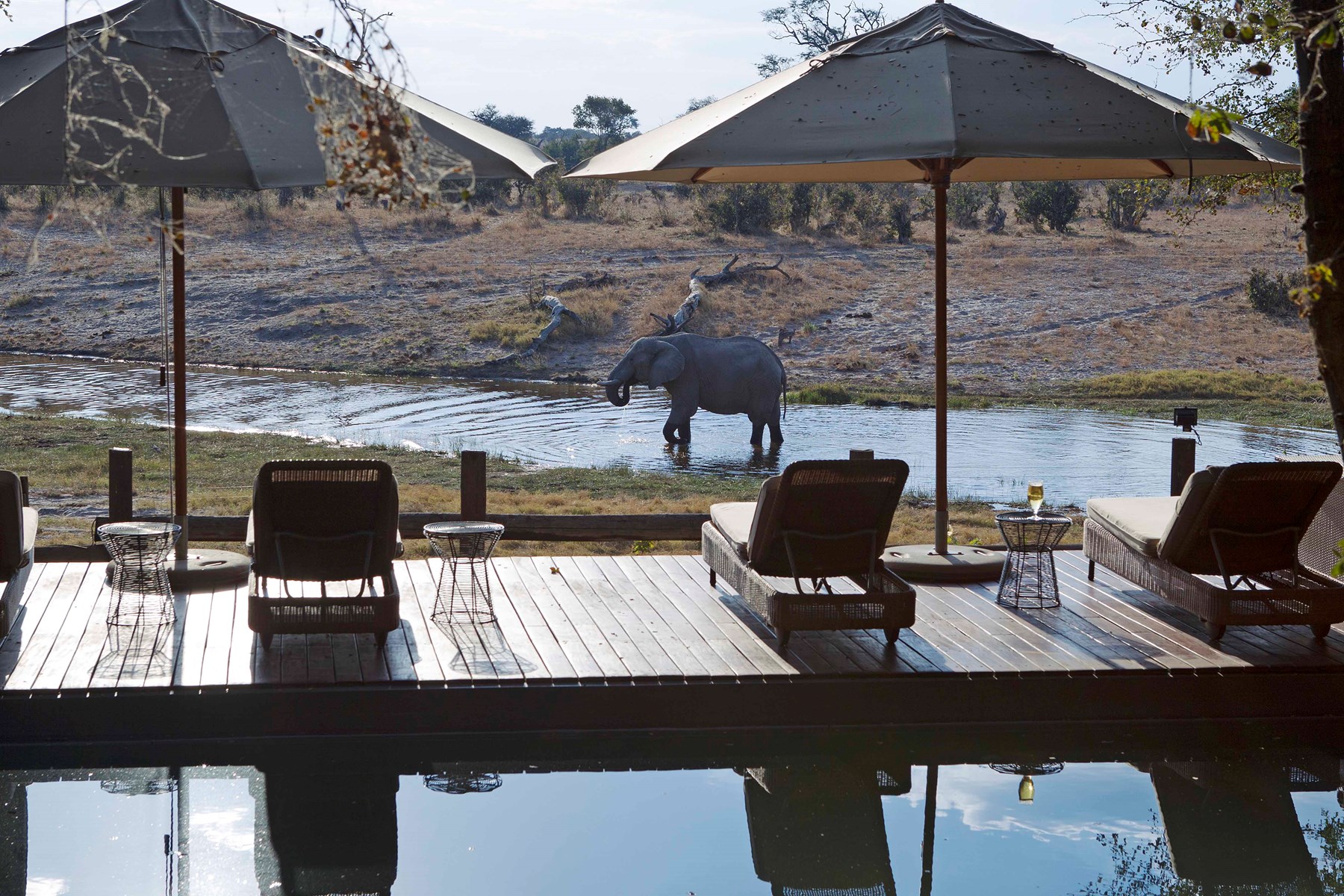 Botswana Savute Safari Lodge Chobe National Park Botswana 95